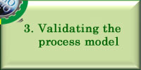 Validating the process model